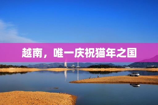 越南，唯一庆祝猫年之国