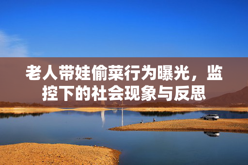 老人带娃偷菜行为曝光，监控下的社会现象与反思