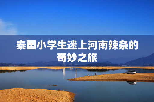 泰国小学生迷上河南辣条的奇妙之旅