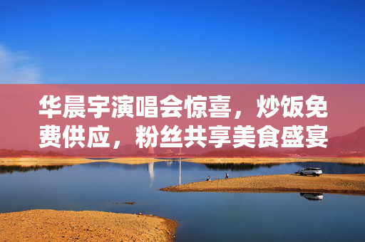 华晨宇演唱会惊喜，炒饭免费供应，粉丝共享美食盛宴