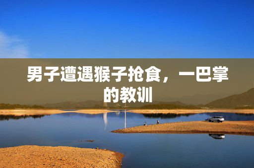 男子遭遇猴子抢食，一巴掌的教训