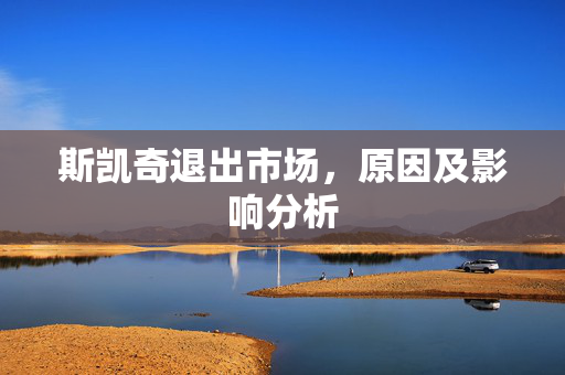 斯凯奇退出市场，原因及影响分析