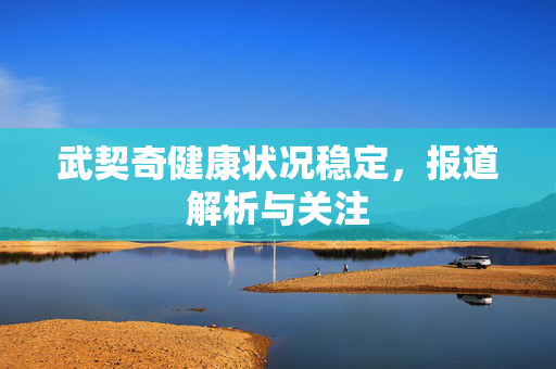 武契奇健康状况稳定，报道解析与关注