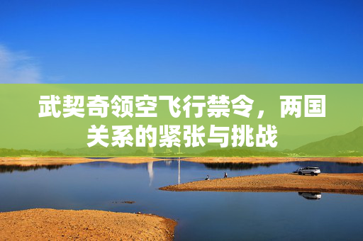 武契奇领空飞行禁令，两国关系的紧张与挑战