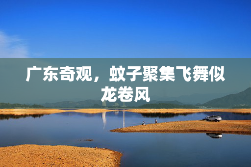 广东奇观，蚊子聚集飞舞似龙卷风