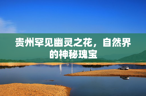 贵州罕见幽灵之花，自然界的神秘瑰宝