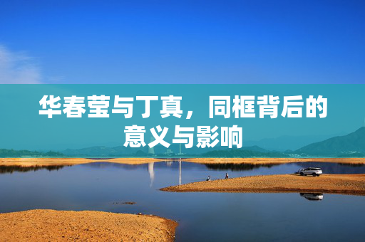 华春莹与丁真，同框背后的意义与影响