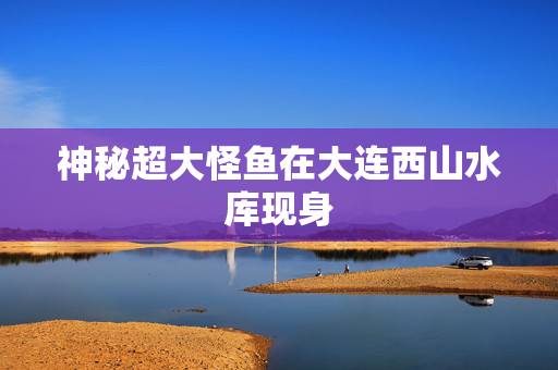 神秘超大怪鱼在大连西山水库现身