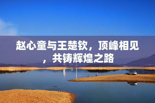 赵心童与王楚钦，顶峰相见，共铸辉煌之路