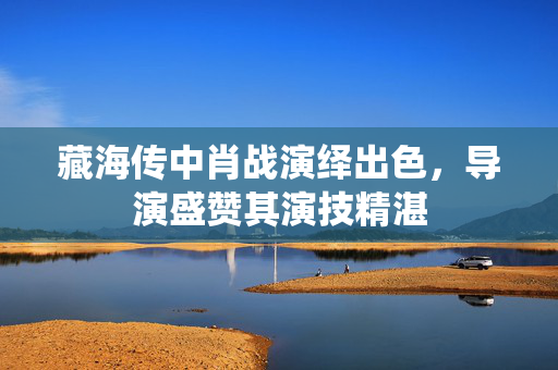 藏海传中肖战演绎出色，导演盛赞其演技精湛