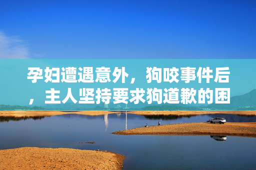 孕妇遭遇意外，狗咬事件后，主人坚持要求狗道歉的困境