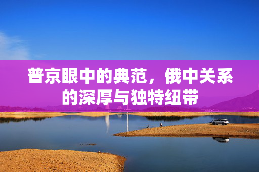 普京眼中的典范，俄中关系的深厚与独特纽带