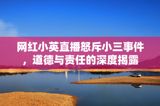 网红小英直播怒斥小三事件，道德与责任的深度揭露