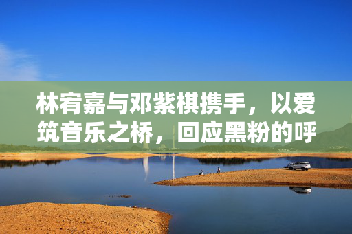 林宥嘉与邓紫棋携手，以爱筑音乐之桥，回应黑粉的呼声