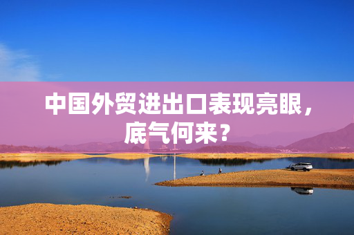 中国外贸进出口表现亮眼，底气何来？