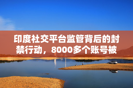印度社交平台监管背后的封禁行动，8000多个账号被封
