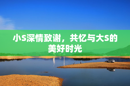 小S深情致谢，共忆与大S的美好时光
