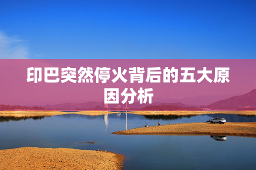 印巴突然停火背后的五大原因分析