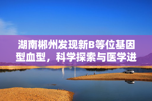 湖南郴州发现新B等位基因型血型，科学探索与医学进步的里程碑