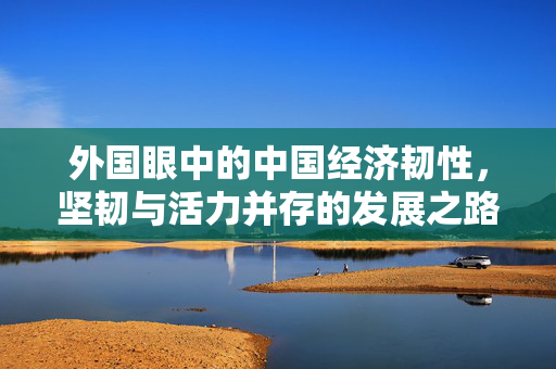 外国眼中的中国经济韧性，坚韧与活力并存的发展之路