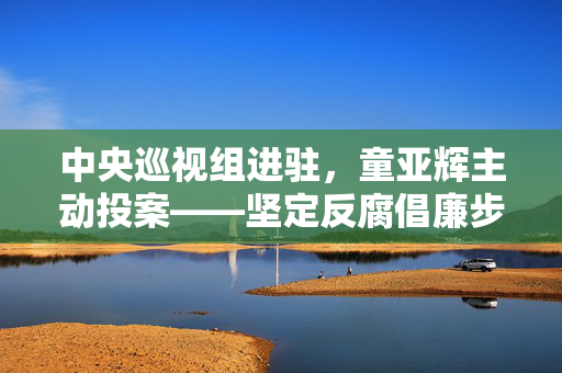 中央巡视组进驻，童亚辉主动投案——坚定反腐倡廉步伐的体现