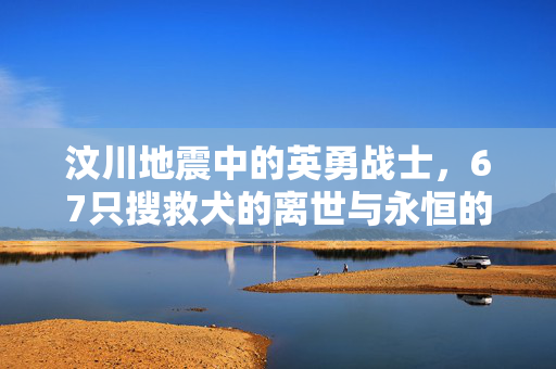 汶川地震中的英勇战士，67只搜救犬的离世与永恒的奉献