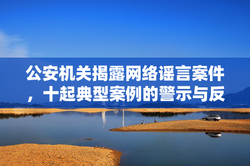 公安机关揭露网络谣言案件，十起典型案例的警示与反思