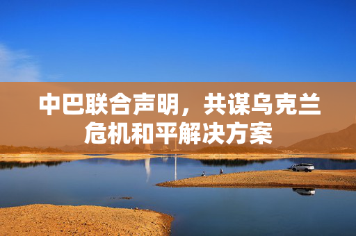 中巴联合声明，共谋乌克兰危机和平解决方案