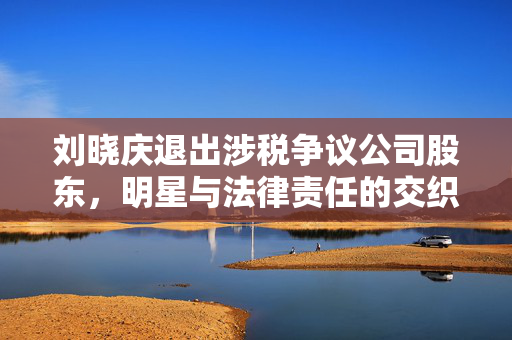 刘晓庆退出涉税争议公司股东，明星与法律责任的交织考量