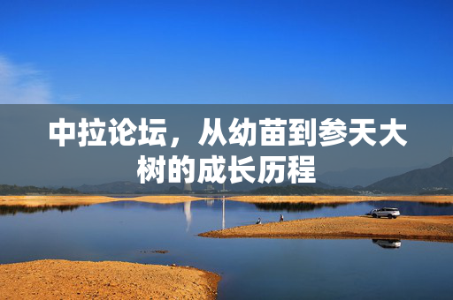 中拉论坛，从幼苗到参天大树的成长历程