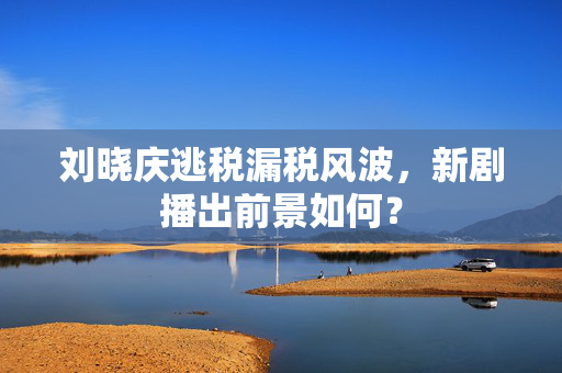 刘晓庆逃税漏税风波，新剧播出前景如何？