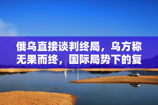 俄乌直接谈判终局，乌方称无果而终，国际局势下的复杂对话