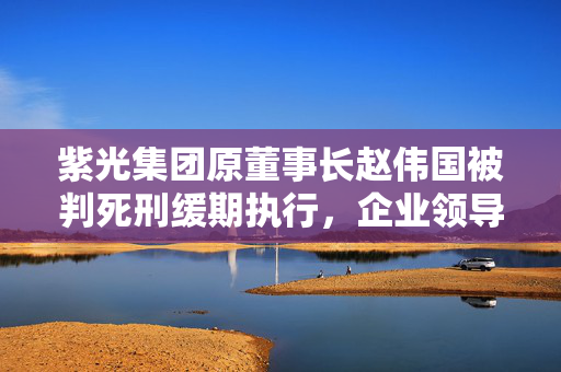 紫光集团原董事长赵伟国被判死刑缓期执行，企业领导人的法律责任与警示