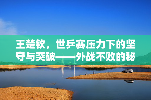 王楚钦，世乒赛压力下的坚守与突破——外战不败的秘诀