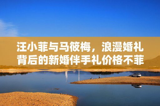 汪小菲与马筱梅，浪漫婚礼背后的新婚伴手礼价格不菲故事