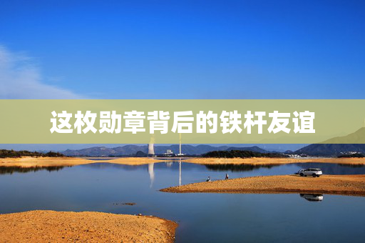 这枚勋章背后的铁杆友谊
