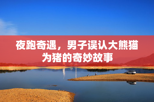 夜跑奇遇，男子误认大熊猫为猪的奇妙故事