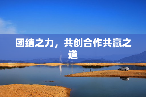 团结之力，共创合作共赢之道