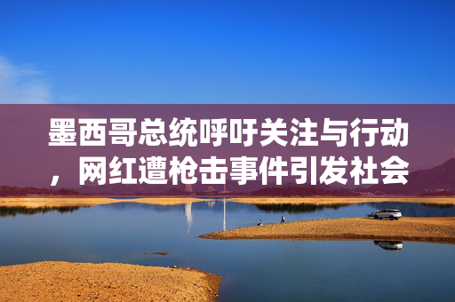 墨西哥总统呼吁关注与行动，网红遭枪击事件引发社会关注