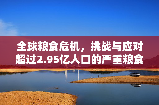 全球粮食危机，挑战与应对超过2.95亿人口的严重粮食不安全