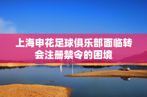 上海申花足球俱乐部面临转会注册禁令的困境