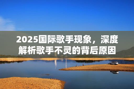 2025国际歌手现象，深度解析歌手不灵的背后原因