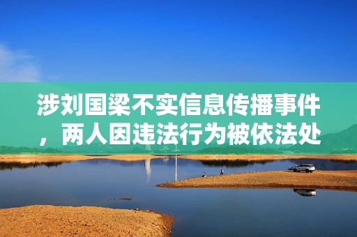 涉刘国梁不实信息传播事件，两人因违法行为被依法处罚