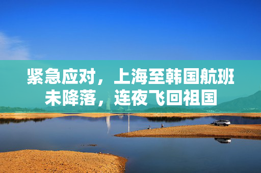 紧急应对，上海至韩国航班未降落，连夜飞回祖国
