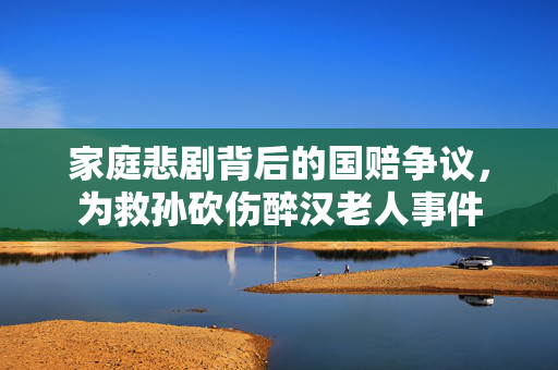 家庭悲剧背后的国赔争议，为救孙砍伤醉汉老人事件