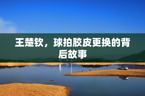 王楚钦，球拍胶皮更换的背后故事