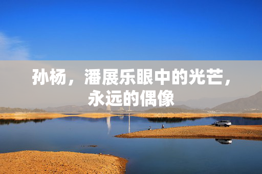 孙杨，潘展乐眼中的光芒，永远的偶像