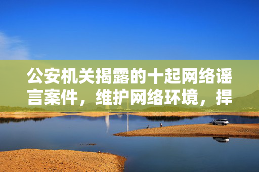 公安机关揭露的十起网络谣言案件，维护网络环境，捍卫社会正义的行动