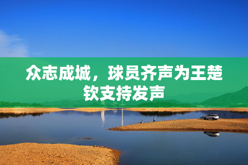 众志成城，球员齐声为王楚钦支持发声