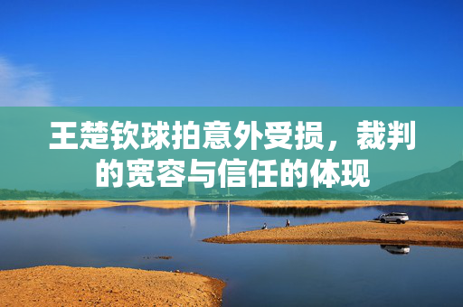 王楚钦球拍意外受损，裁判的宽容与信任的体现